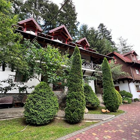 Вілла Лісова Комфорт Apartment Skhidnytsia Exterior photo